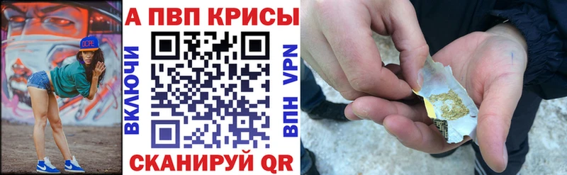 ОМГ ОМГ tor Дудинка Alpha PVP крисы CK