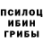 Псилоцибиновые грибы прущие грибы Gaam Joom