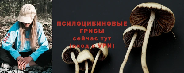 прущие грибы Алексеевка