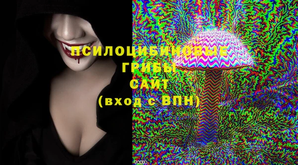 прущие грибы Алексеевка